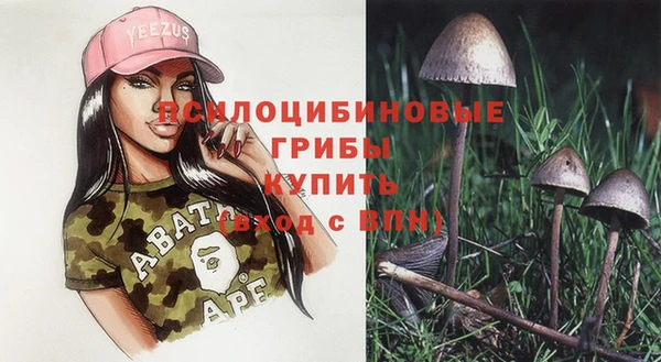 индика Алзамай