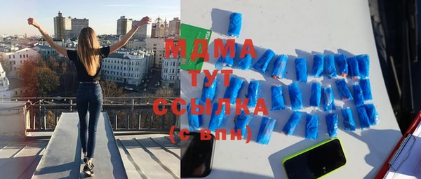 индика Алзамай
