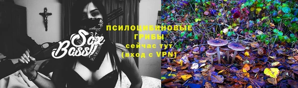Альфа ПВП Алексеевка